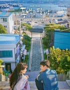 2019年韩国电视剧《山茶花开时》全20集