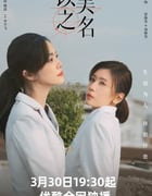 2025年国产大陆电视剧《以美之名》全29集
