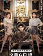 2025年国产大陆电视剧《李狗娃》全24集