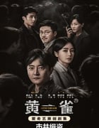2025年国产大陆电视剧《黄雀》全24集