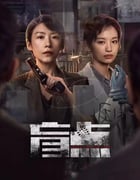 2025年国产大陆电视剧《盲点》全24集