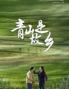 2025年国产大陆电视剧《青山是故乡》全29集