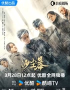 2025年国产大陆电视剧《沙尘暴》全12集