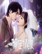 2025年国产大陆电视剧《一骑定情缘》全24集