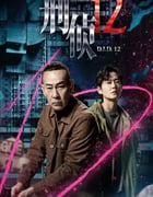 2025年中国香港电视剧《刑侦12》全25集