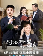 2025年国产大陆电视剧《司法所的故事》全40集