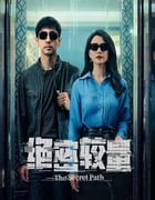 2025年国产大陆电视剧《绝密较量》全28集