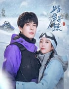 2025年国产大陆电视剧《踏雪寻熊》全24集