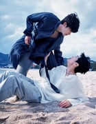 2025年国产大陆电视剧《被困在大阪的男孩》全4集