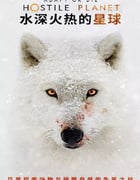 2019年美国纪录片《水深火热的星球》全6集