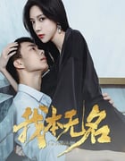 2025年国产大陆电视剧《我本无名》全24集