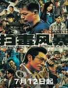 2025年国产大陆电视剧《扫毒风暴》全33集