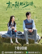 2025年国产大陆电视剧《木一林的珍珠》全24集
