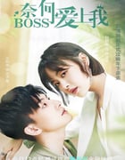 2022年国产大陆电视剧《奈何BOSS爱上我》全16集