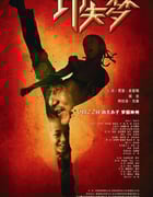 2010年美国经典动作片《功夫梦》蓝光中英双字