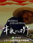 2022年国产大陆电视剧《丰收的田野》全3集