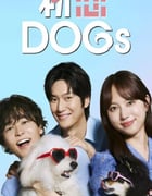 2025年日本电视剧《初恋DOGs》连载至04
