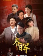 2025年国产大陆电视剧《春晖》全32集