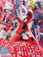 2024年日本奇幻片《工作细胞 真人版》HD国日双语中字