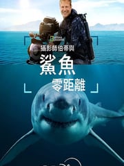 2025年美国纪录片《摄影师贝尔蒂与鲨鱼零距离》HD英语中字
