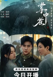 2025年国产大陆短剧《掌中雀》连载至20