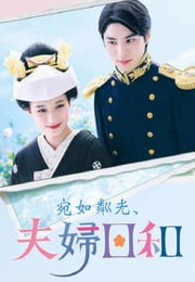 2025年国产大陆电视剧《波光和煦，夫妻良辰》连载至02