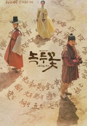 2019年国产大陆电视剧《绿豆花》全24集