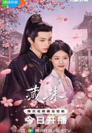 2025年国产大陆电视剧《藏珠》连载至06