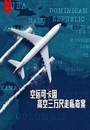 2025年法国纪录片《空运可卡因：高空三万尺走私奇案》全3集