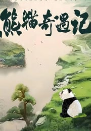 2024年国产大陆纪录片《熊猫奇遇记》全6集