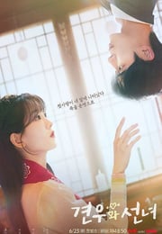 2025年韩国电视剧《牵牛和仙女》连载至04