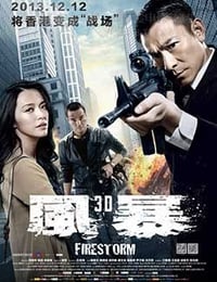 [风暴][BD-720P-MP4][国语中字][豆瓣6.4分][1.3GB][2013]