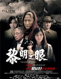 [黎明之眼][1280HD-RMVB][国语中字][豆瓣6.0分][893MB][2014]