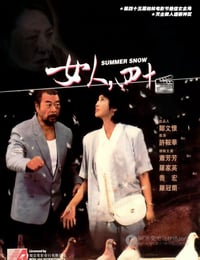 [女人四十][DVDRip-AVI][国语中字][豆瓣8.8分][700MB][1995]