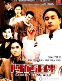 [阿飞正传][BD-720P-MKV][国粤双语中字][豆瓣7.9分][3.0GB][1990]