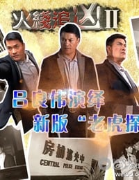 [火线追凶2][1-10全集][HD-720P-MKV][国语中字][豆瓣5.2分][2013]