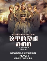 [这里的黎明静悄悄][HD-720P/1080P-MP4][俄语中字][豆瓣7.6分][2.1GB/4.2GB][2015]