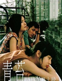 [青苔][DVD-RMVB][国语中字][豆瓣6.5分][447MB][2008]