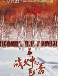 [战火中的芭蕾][HD-720P/1080P-MP4][国语中字][豆瓣6.4分][1.7GB/2.1GB][2015]