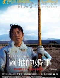 [图雅的婚事][DVD-AVI][国语中字][豆瓣7.9分][700MB][2006]