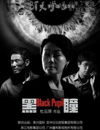 [黑瞳][HD-720P/1080P-MP4][国语中字][豆瓣3.3分][2.4GB/5.9GB][2015]