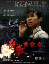 [奇袭胡家台][HD-720P/1080P-MP4][国语中字][1.6GB/3.9GB][2015]