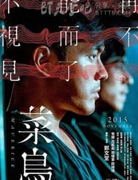 [菜鸟][DVD-MP4][国语中字][豆瓣5.7分][2.0GB][2015]