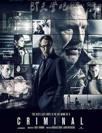 [超脑48小时][BD-720P/1080P-MP4][英国双语中字][豆瓣6.4分][2.4GB/5.0GB][2016]