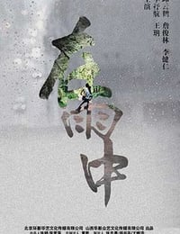 [在雨中][HD-1080P-MP4][国语中字][豆瓣3.8分][2.0GB][2016]