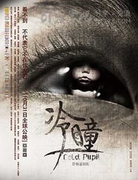 [冷瞳][HDTV-RMVB][国语中字][豆瓣2.7分][978MB][2013]