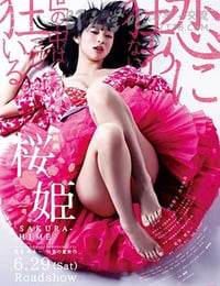 [樱姬][DVD-MP4][日语中字][豆瓣4.4分][1.6GB][2013]