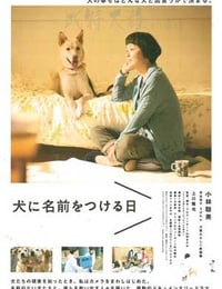 [为你取名的那一天][BD-720P/1080P-MP4][日语中字][豆瓣7.5分][2.2GB/4.5GB][2015]