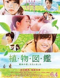 [植物图鉴][BD-720P-MP4][日语中字][豆瓣6.2分][1.49GB][2016]