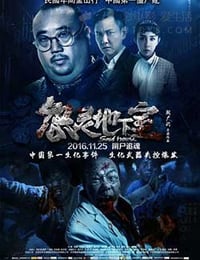 [怨灵地下室][HD-1080P-MKV][国语中字][1.89GB][2016]